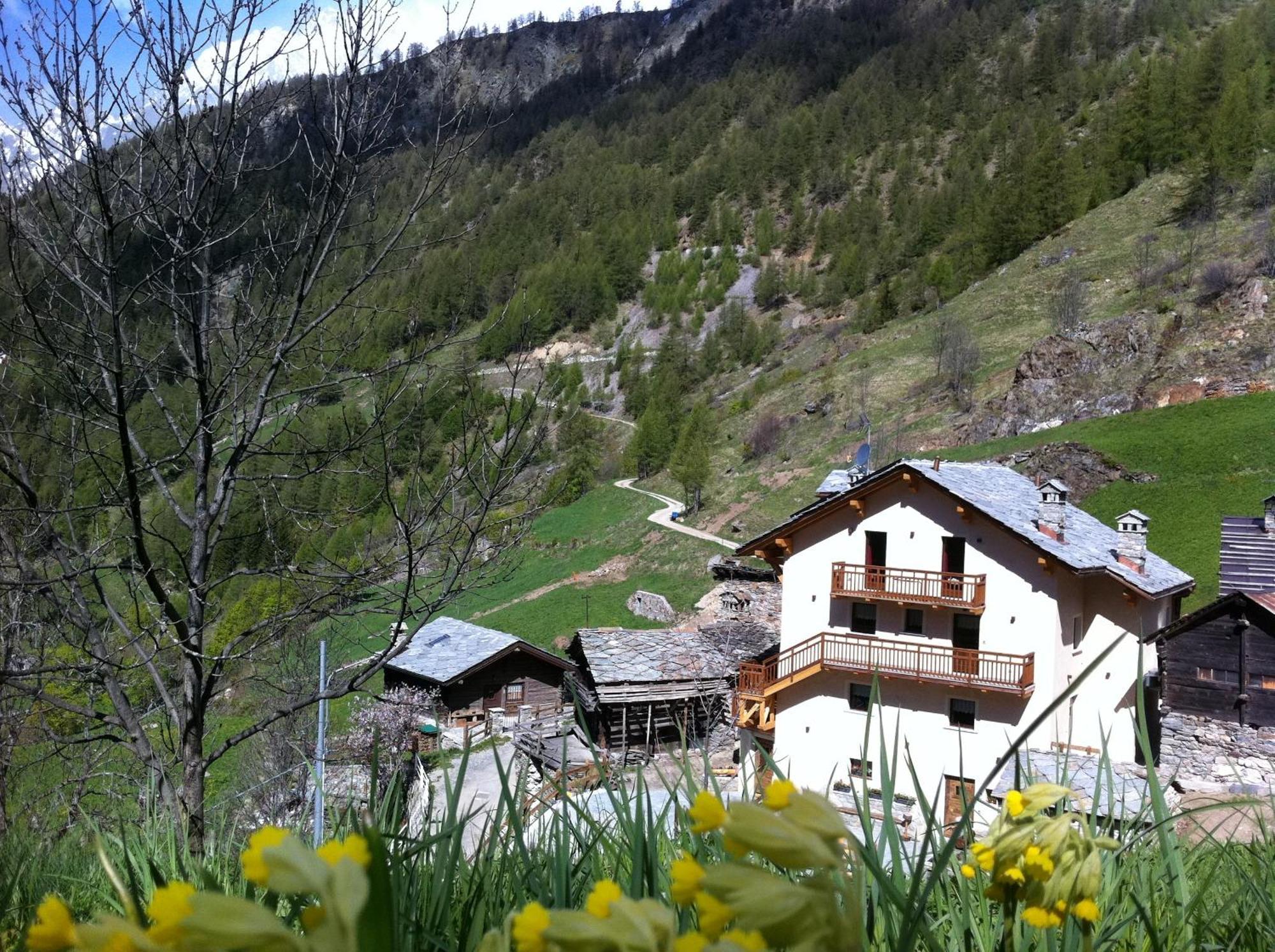 Bed and Breakfast Alpe Rebelle Bionaz Екстер'єр фото