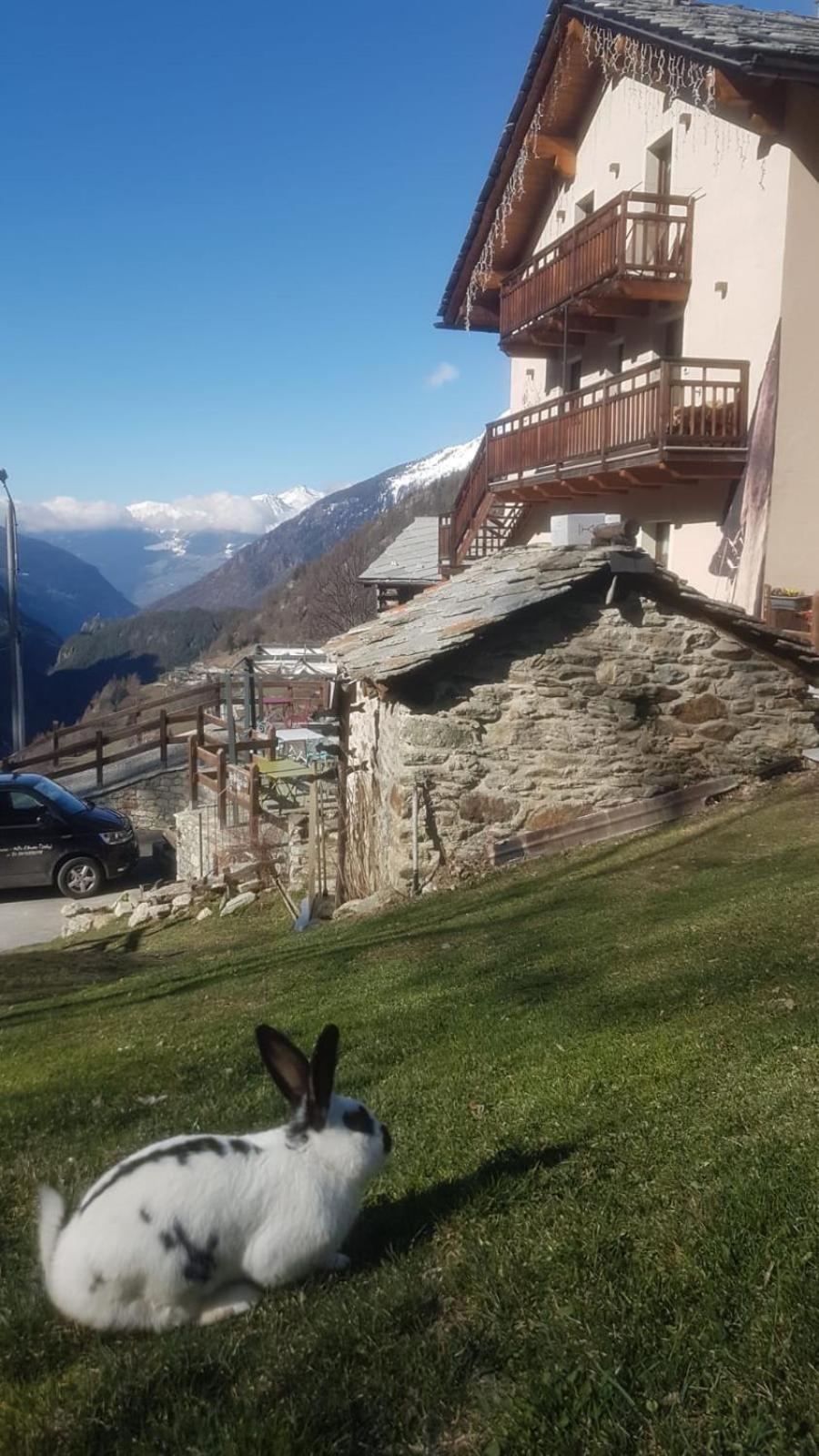 Bed and Breakfast Alpe Rebelle Bionaz Екстер'єр фото