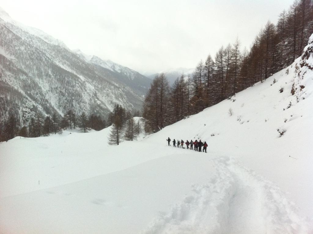 Bed and Breakfast Alpe Rebelle Bionaz Екстер'єр фото